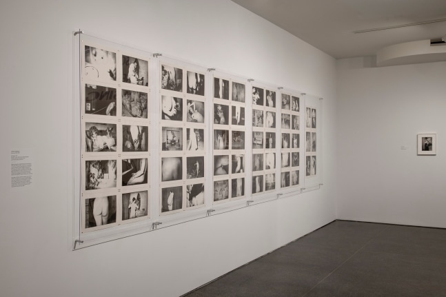 Jimmy DeSana: Submission