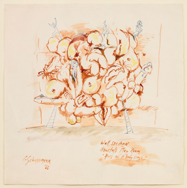 Carolee Schneemann, Parts of a Body House - Genitals Playroom III / Wall Section (c), 1966