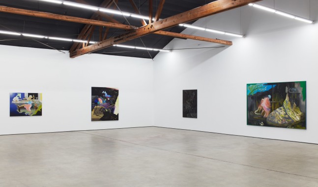 Hortensia Mi Kafchin: Chemtrails (installation view), Nicodim, Los Angeles, CA (April 20 &amp;ndash; June 1, 2019)