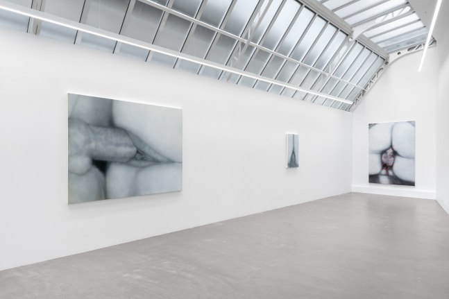 Sex Paintings (Installation View) Bremond Capela, Paris, France, April 26 &amp;mdash; May 31, 2025. Photo: Nicolas Brasseur.