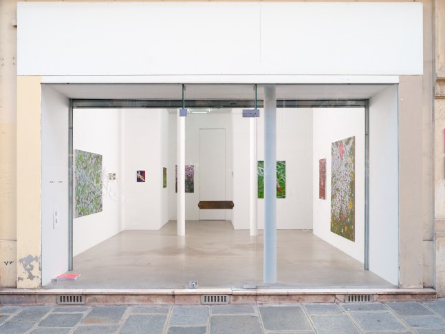 The Whorled (installation view). Photo by Aur&amp;eacute;lien Mole