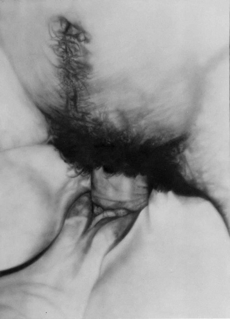 Betty Tompkins, Fuck Painting #4, 1972