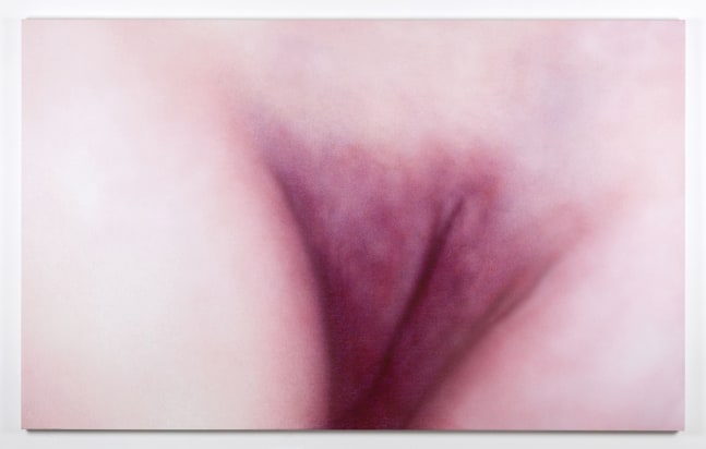 Betty Tompkins, Ersatz Cunt Painting #1, 2016
