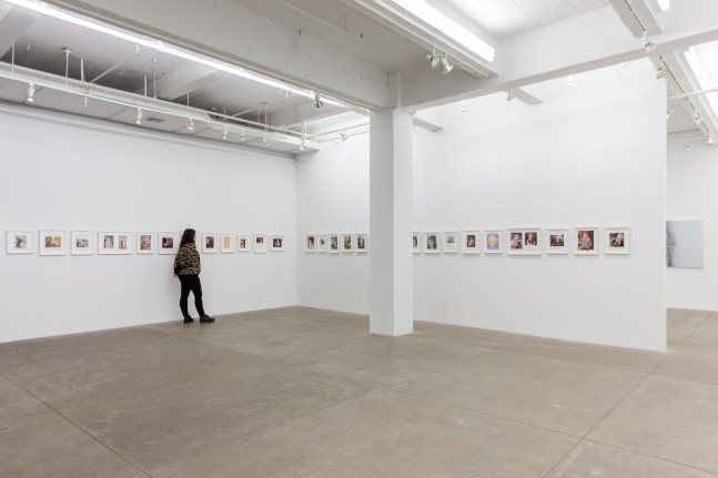 Betty Tompkins, Will She Ever Shut Up? install 3