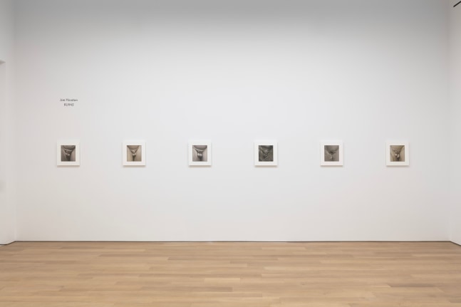 2021_RUINS_install 1