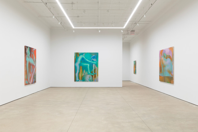 Elizabeth Glaessner, Phantom Tail install 8