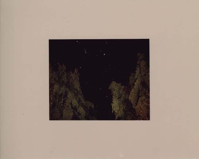 Adam Putnam, Frozen Forest, 2016-2017