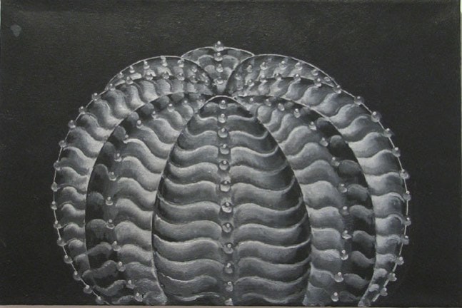 Martin Wong, Euphobia Obesa, 1997-98