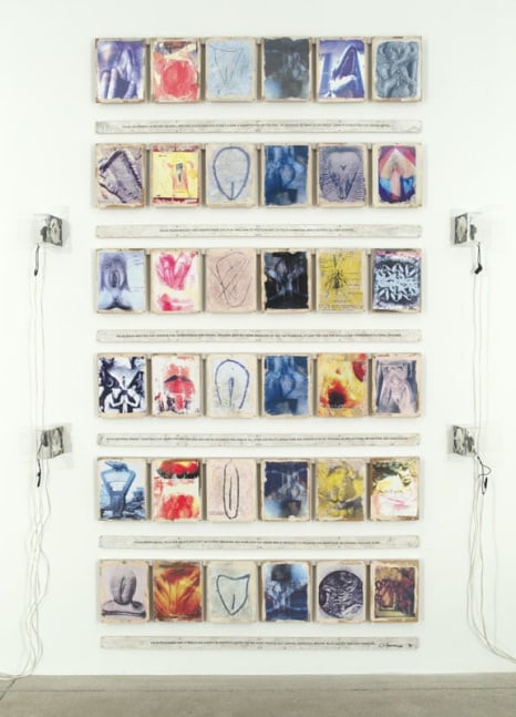 Carolee Schneemann, Vulva's Morphia, 1995