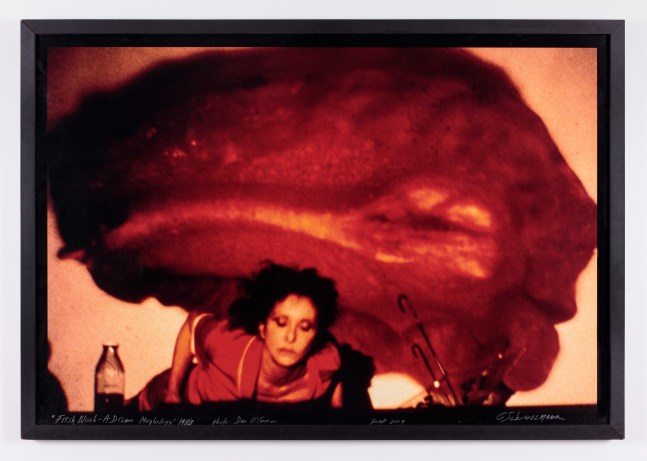 Carolee Schneemann, Fresh Blood - A Dream Morphology, 1983/2004