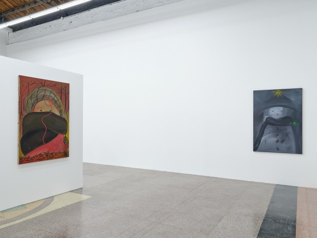 Owen Fu: Stealing Beauty