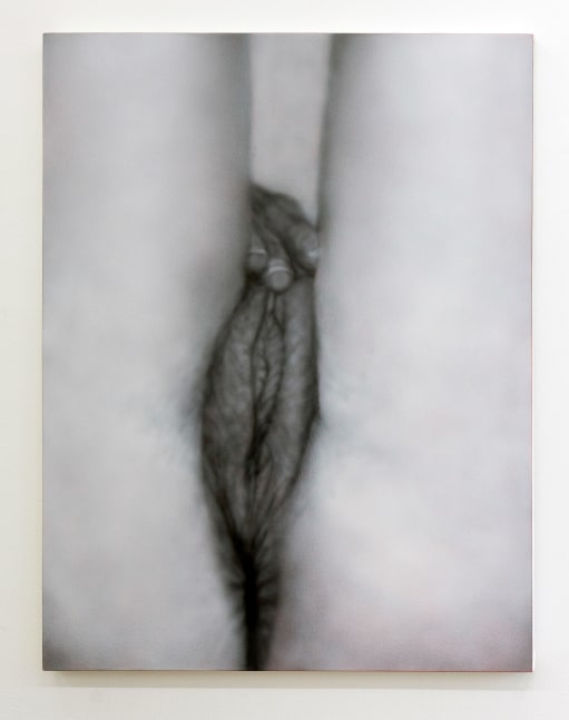 Betty Tompkins, Masturbation Painting #2, 2009