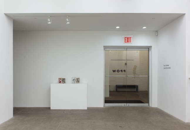 Dodo Data Dada, install 9