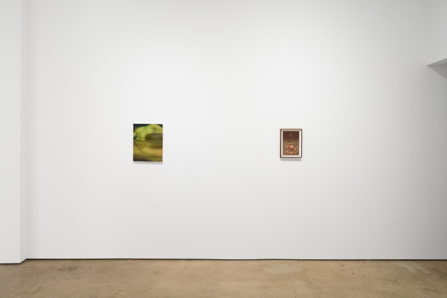 Elizabeth Glaessner, Asami Shoji, and Oda Iselin S&amp;oslash;nderland (Installation View) Fran&amp;ccedil;ois Ghebaly, New York, NY, April 10 &amp;ndash; 26, 2025. Photo: Brad Farwell.