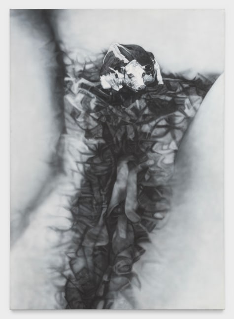 Betty Tompkins
Cow Cunt #1, 1976
acrylic on canvas
84 x 60 ins.
213.4 x 152.4 cm