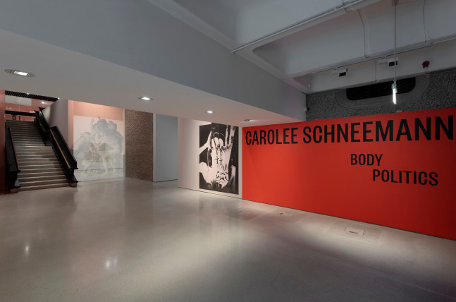 Carolee Schneemann: Body Politics, installation view 12