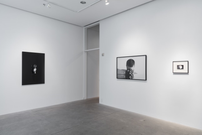 Carlos Motta, Conatus install 1