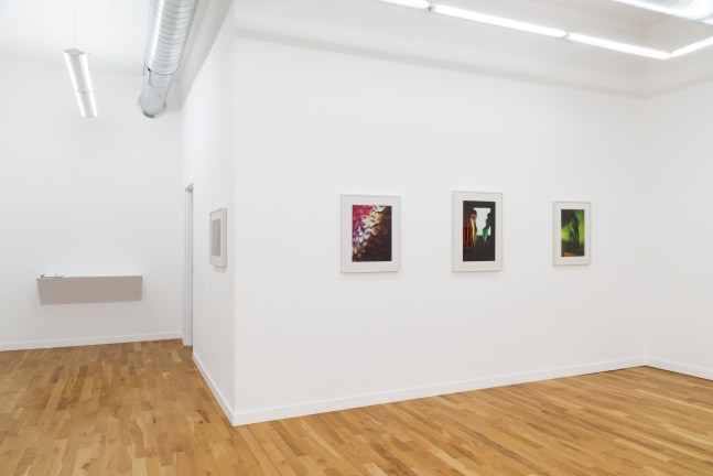 Suburban (Installation View) DOCUMENT, Chicago IL, September 8 &amp;ndash; October 28, 2023. Photo: DOCUMENT, Chicago.