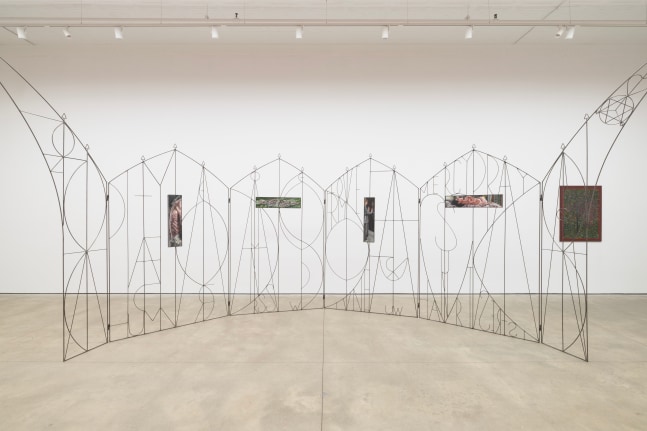 Tapestry (Installation View) P&amp;middot;P&amp;middot;O&amp;middot;W, New York, NY, September 6 &amp;ndash; October 19, 2024. Photo: JSP Art Photography.