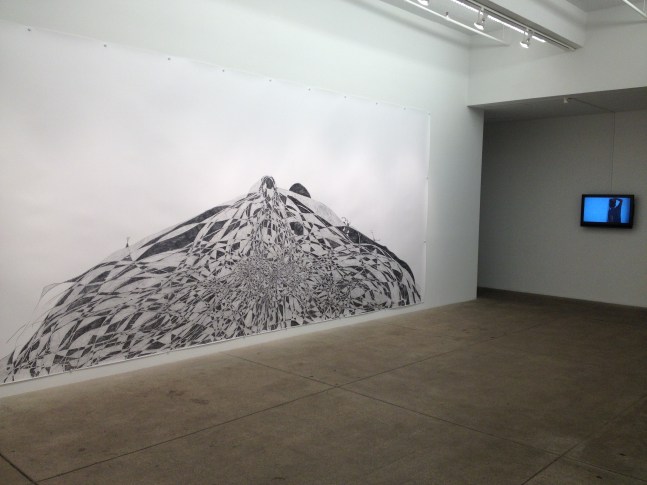 Tony Orrico, Petrified Acts, install 6