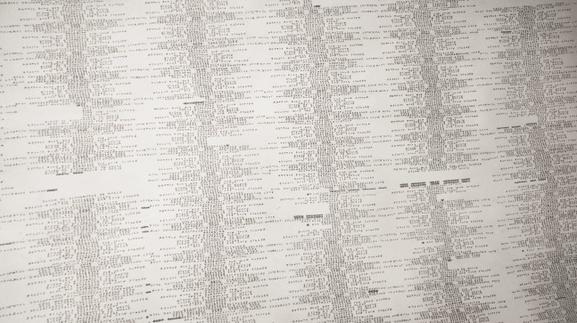 Tony Orrico, Textile: SELJAVALLALAUG SWIM, 2014