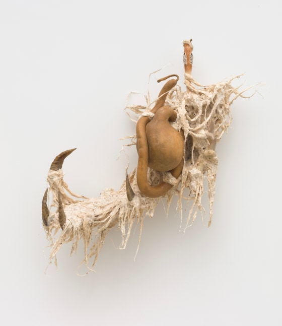 Guadalupe Maravilla
Ancestral Stomach 6, 2021
dried gourd with mixed media
27 x 25 x 11 ins.
68.6 x 63.5 x 27.9 cm