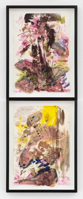Carolee Schneemann, Diario Cada Dia (1), 2007