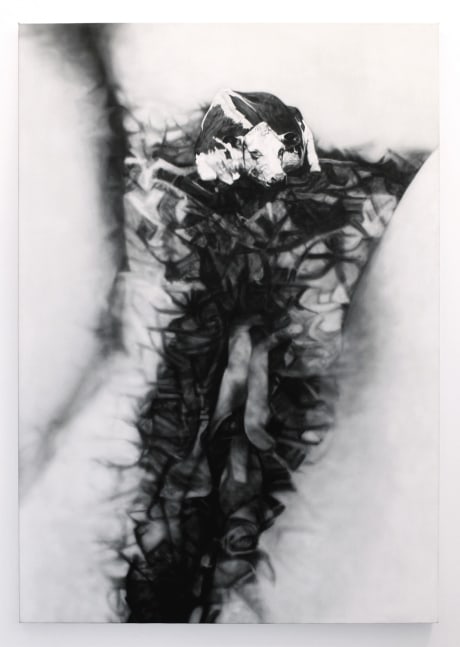 Betty Tompkins
Cow Cunt #1, 1976
acrylic on canvas
84 x 60 ins.
213.4 x 152.4 cm