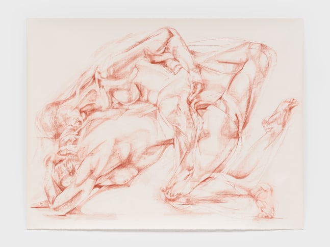 Grace Carney
Drawing XX, 2025
sanguine crayon on paper
51 7/8 x 68 ins.
131.8 x 172.7 cm