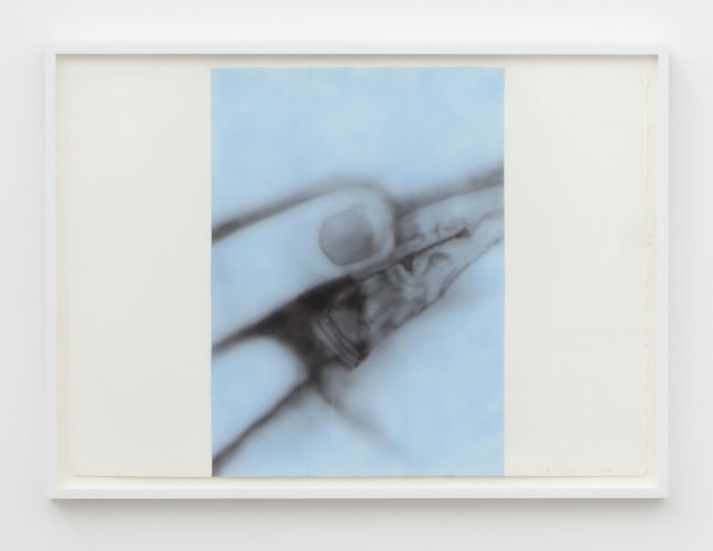 Betty Tompkins, Masturbation Grid Painting #1, 2016