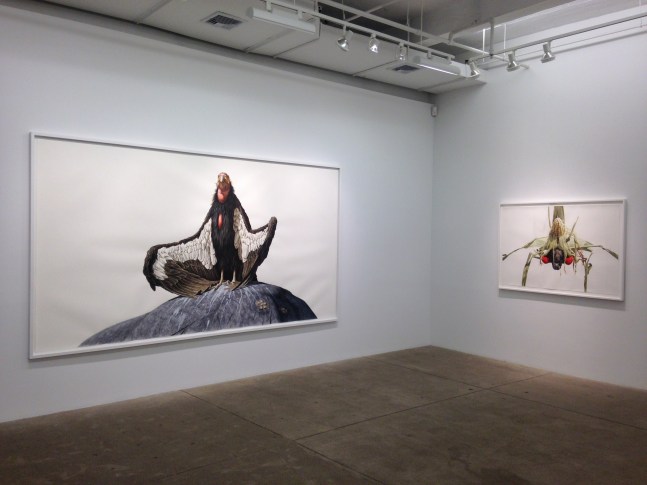 George Boorujy, Passenger install 6