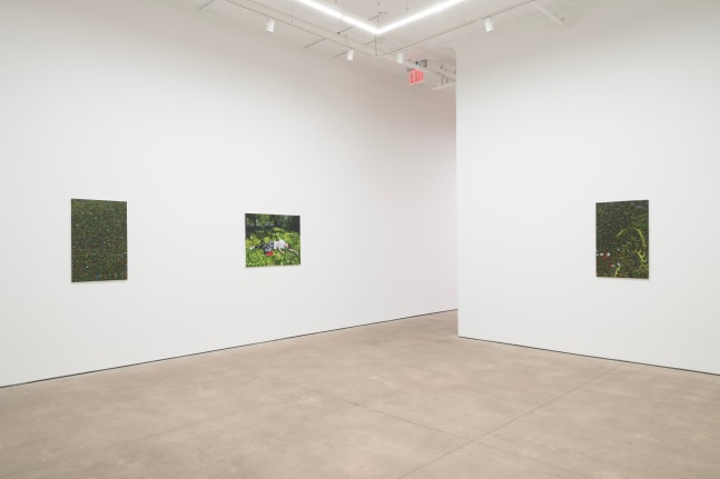 Tapestry (Installation View) P&amp;middot;P&amp;middot;O&amp;middot;W, New York, NY, September 6 &amp;ndash; October 19, 2024. Photo: JSP Art Photography.