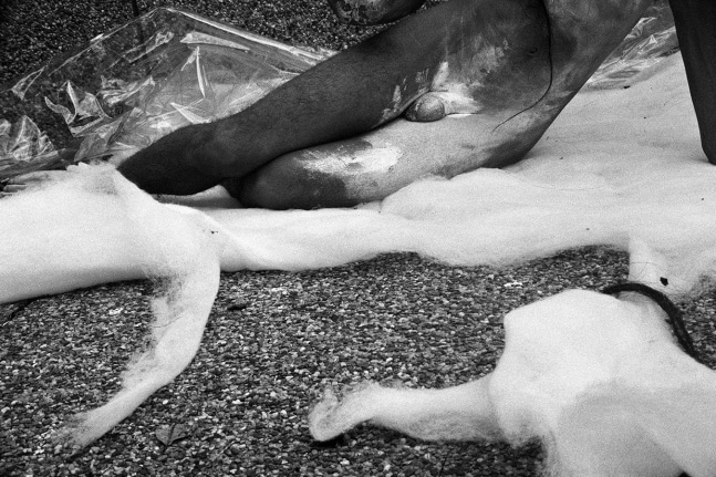 Carlos Motta, Untitled, 1998/2016