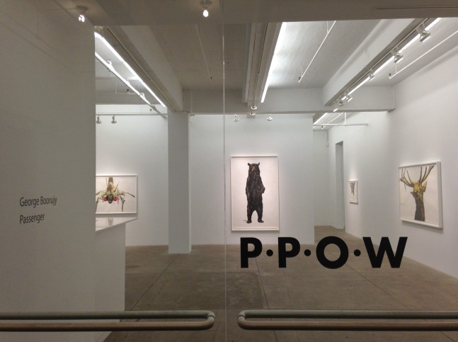 George Boorujy, Passenger install 9