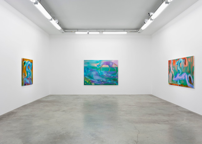 Elizabeth Glaessner, Dead Leg, installation view 2