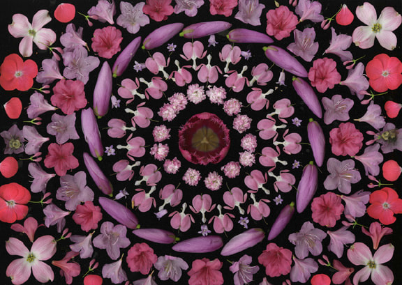 Portia Munson, Bleeding Hearts, 2006