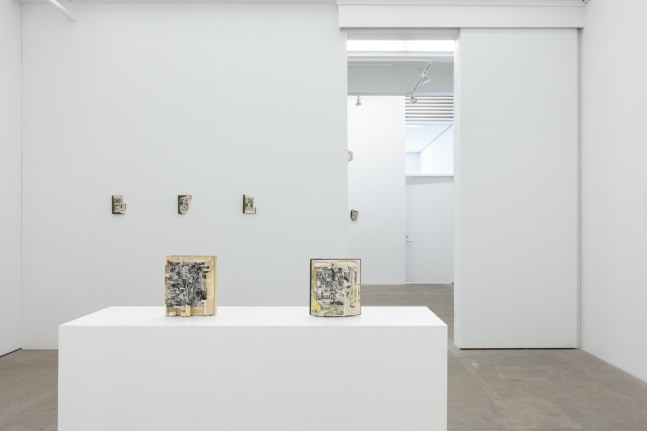 Dodo Data Dada, install 1