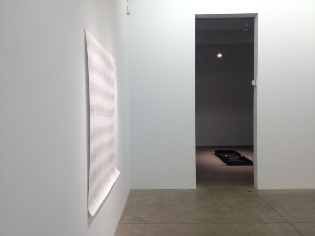 Tony Orrico, Petrified Acts, install 2