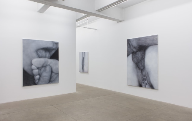 Betty Tompkins, Virgins, install 2