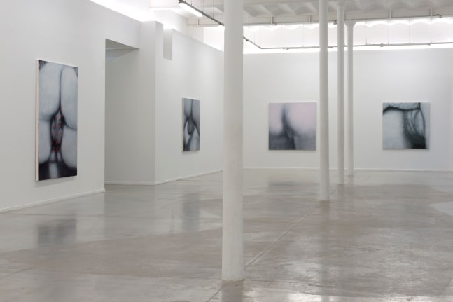 Installation View, Betty Tompkins: Raw Material, MO.CO Montpellier Contemporain, France. Photo by Marc Domage