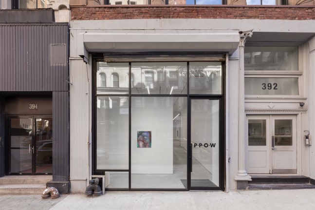 Elizabeth Glaessner, Phantom Tail install 12