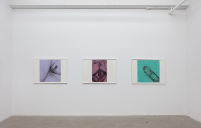 Betty Tompkins, Virgins, install 7