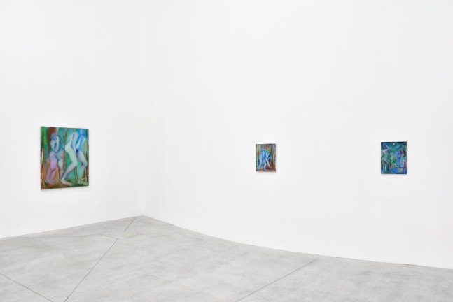 Elizabeth Glaessner, Le Consortium, install 8