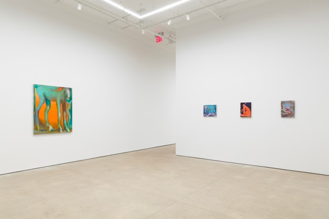 Elizabeth Glaessner, Phantom Tail install 2