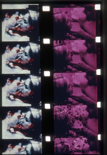 Carolee Schneemann, Fuses