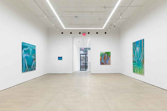 Elizabeth Glaessner, Phantom Tail install 11