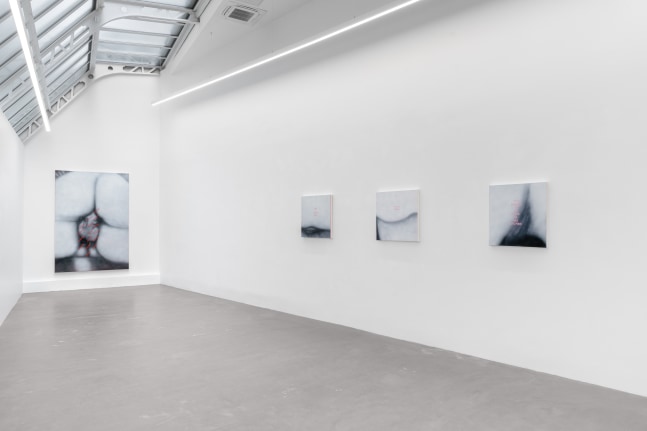 Sex Paintings (Installation View) Bremond Capela, Paris, France, April 26 &amp;mdash; May 31, 2025. Photo: Nicolas Brasseur.