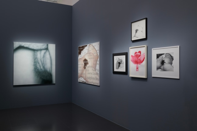 &amp;copy; Centre Pompidou-Metz / Marc Domage / 2023 / Exhibition Lacan the Exhibition: When Art Meets Psychoanalysis.