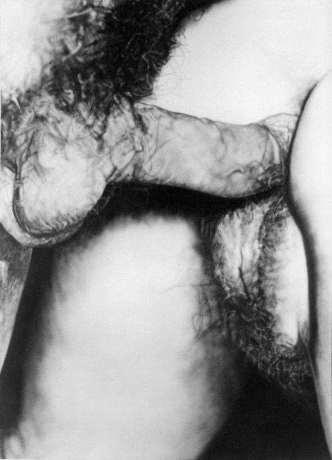 Betty Tompkins
Fuck Painting #6, 1973
acrylic on canvas
84 x 60 ins.
213.4 x 152.4 cm