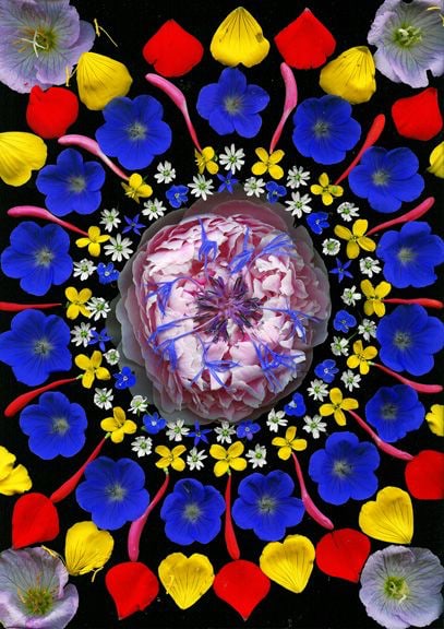 Portia Munson, Bachelor Button, 2004